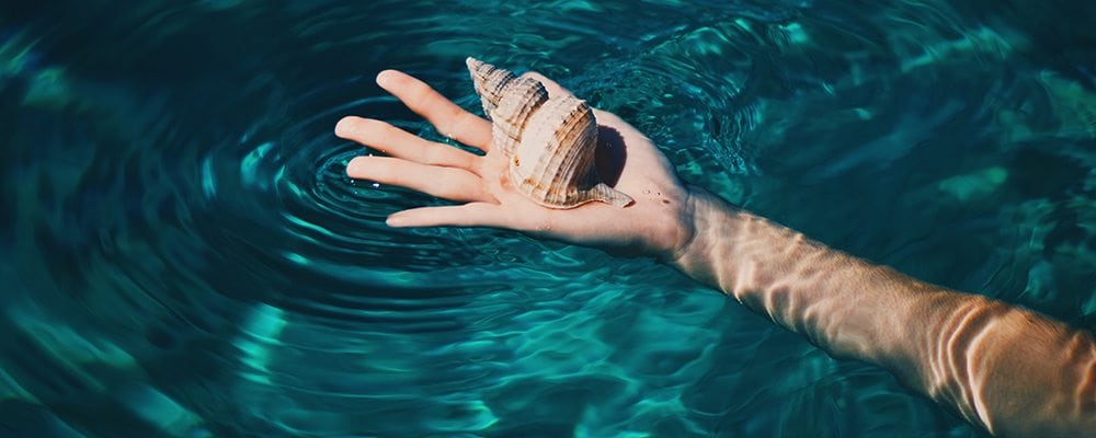 Watery Dreams Jane Teresa Anderson The Dream Academy