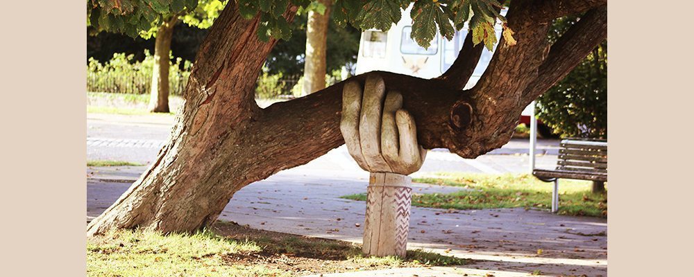 Problem solving in dreams Jane Teresa Anderson