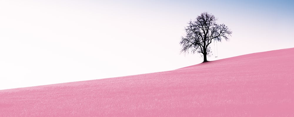 How to remember more dreams Jane Teresa Anderson