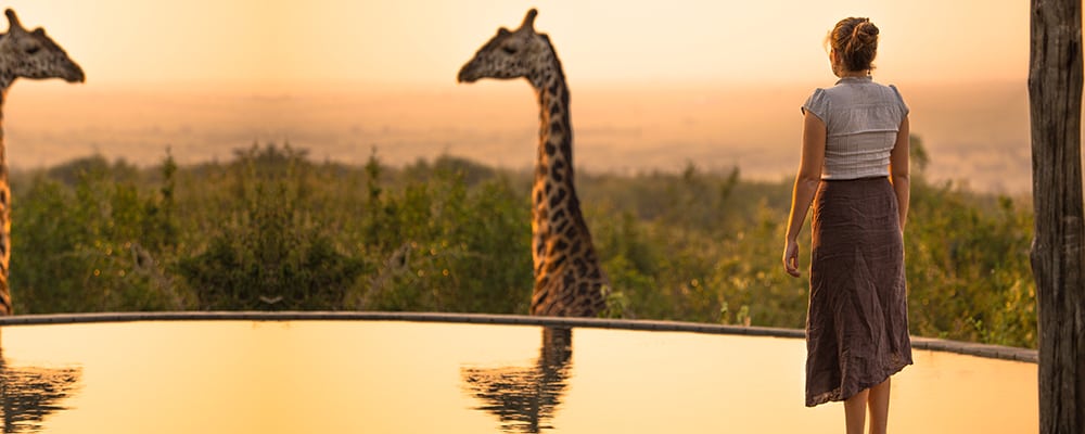 The most important dreams to interpret Jane Teresa Anderson