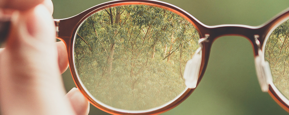 The misinterpretation trap Jane Teresa Anderson dreams