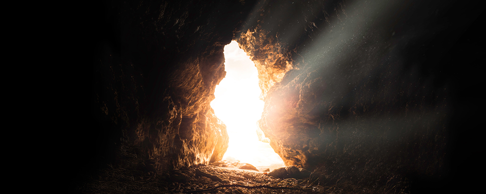 The truth - what your dreams really mean Jane Teresa Anderson