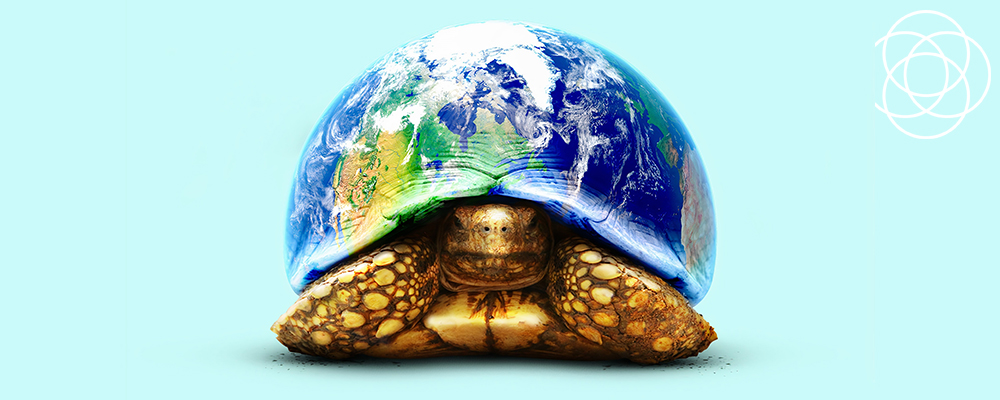 A Better World Jane Teresa Anderson