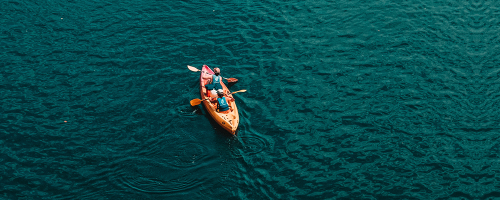 The feel or fear question Jane Teresa Anderson