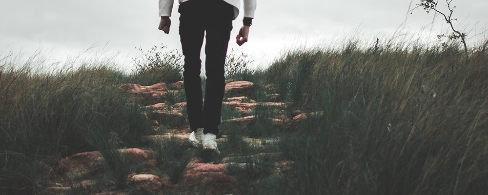 Whats your recurring dream theme Jane Teresa Anderson